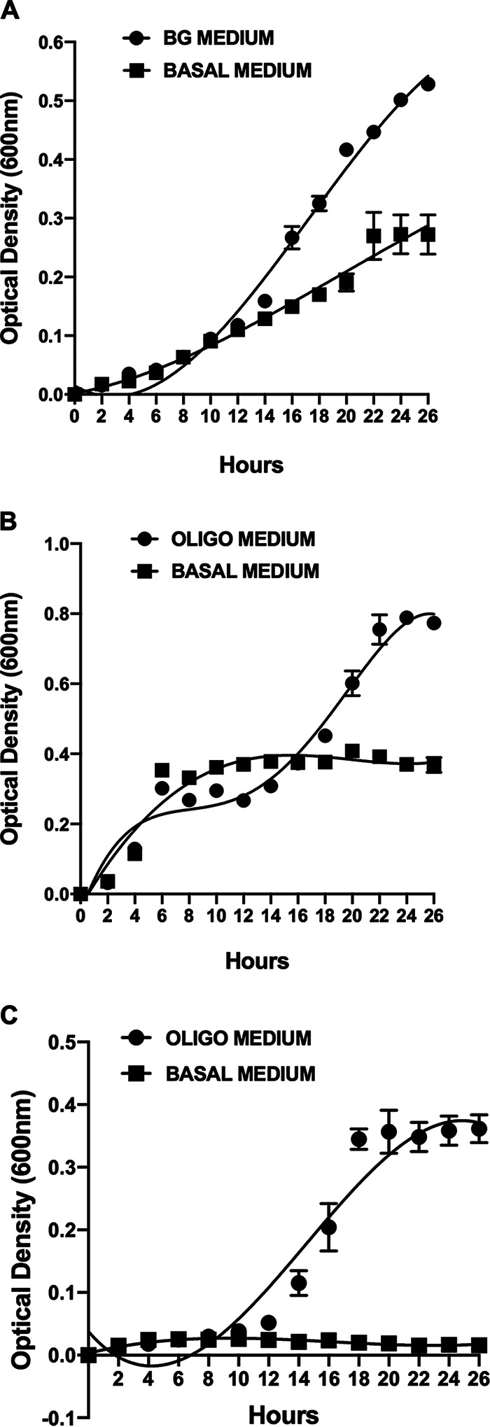 FIG 1