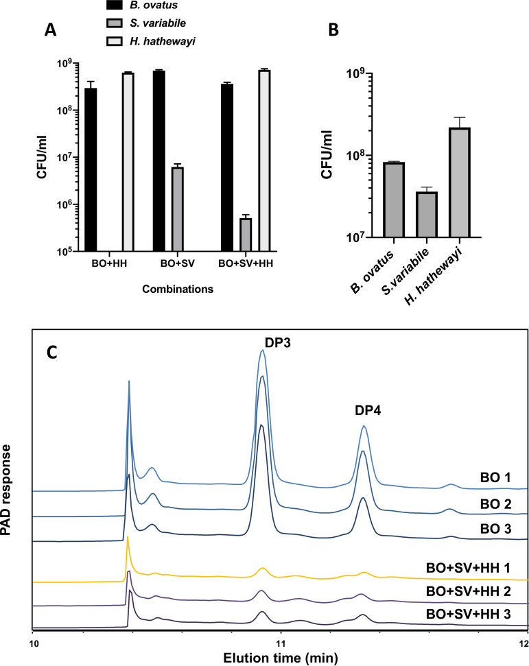 FIG 4