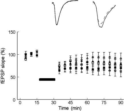 Fig. 4