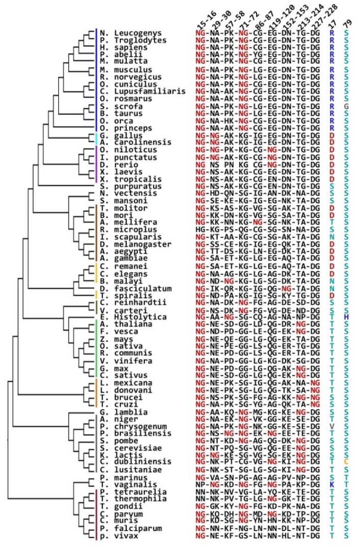 Fig 11