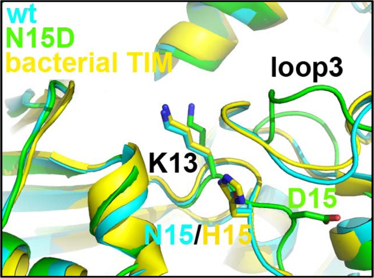 Fig 10