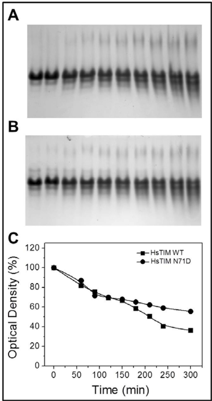 Fig 7