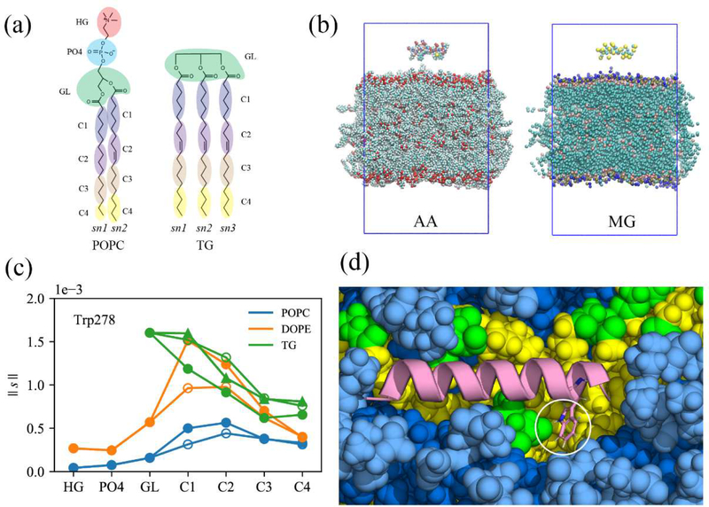 Figure 11: