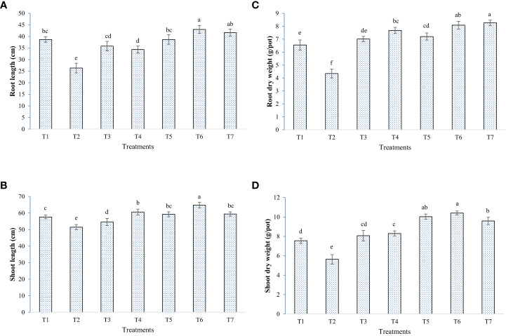 Figure 6