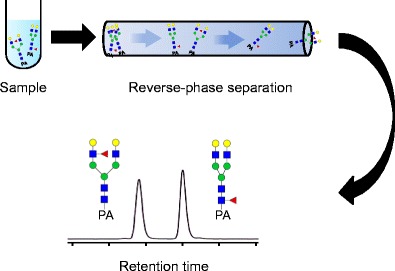 Graphical Abstract