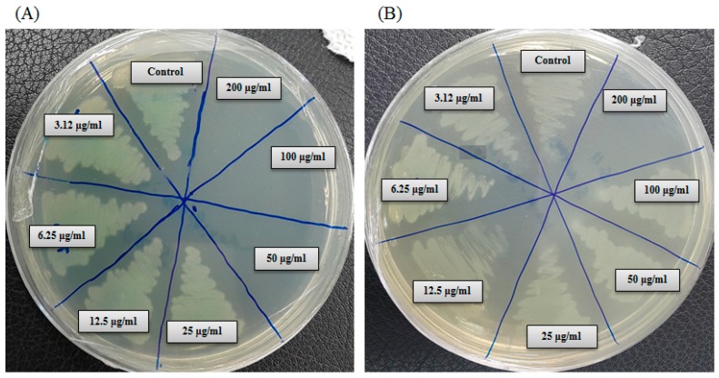 Figure 10