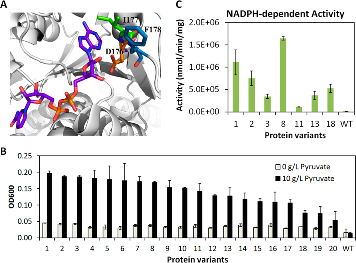 Figure 4.