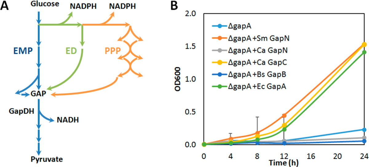 Figure 2.