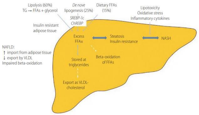 Figure 1.