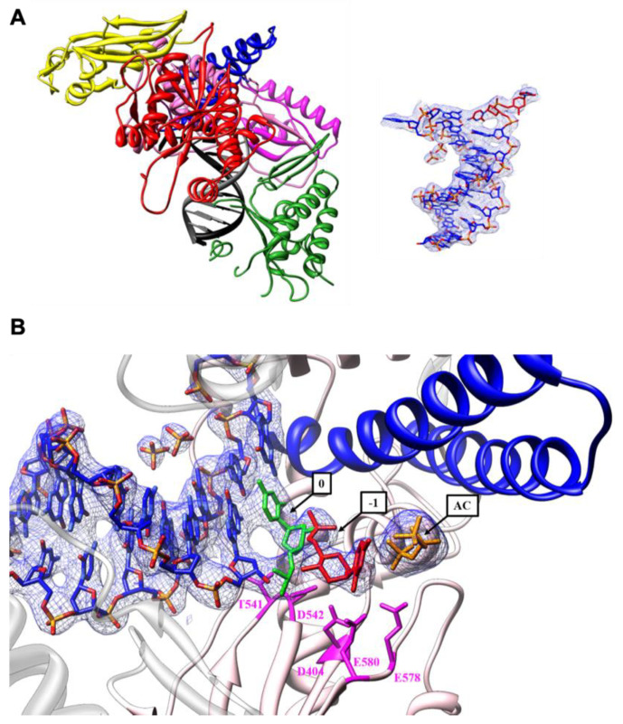 Figure 7