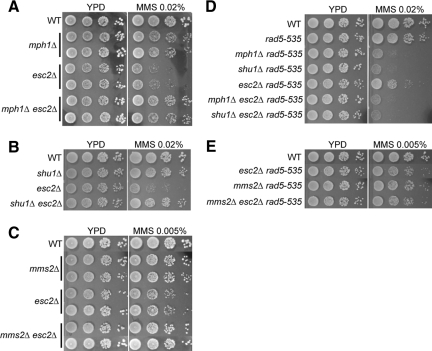 Figure 6.