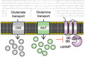 graphic file with name MMI-113-1085-g009.jpg