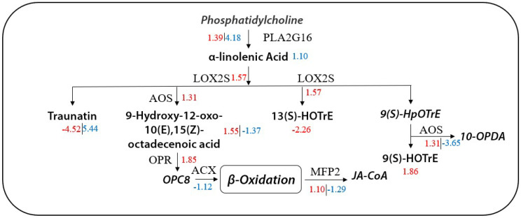 Figure 10