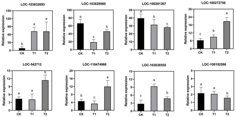 Figure 7