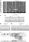 <b>FIG. 2.</b>