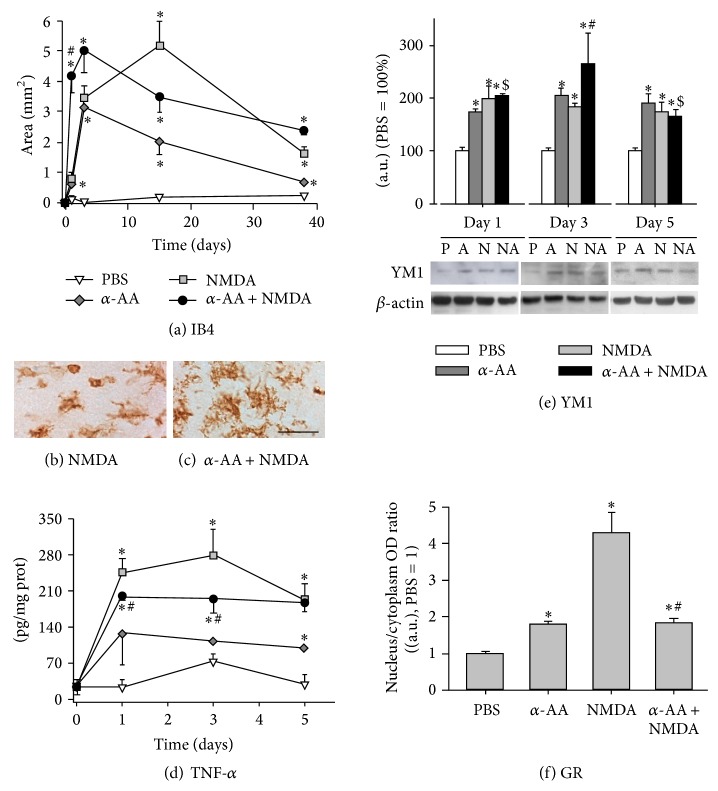 Figure 5