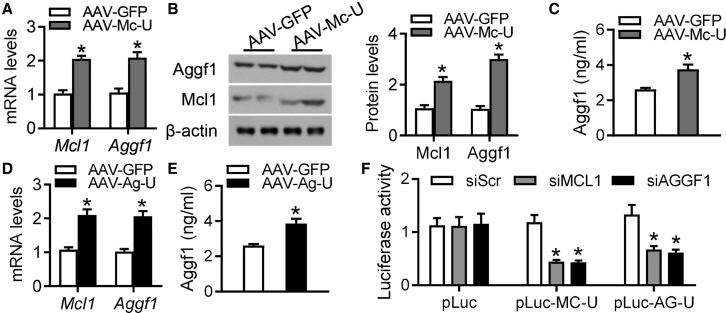 Figure 4