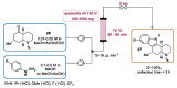 Scheme 10