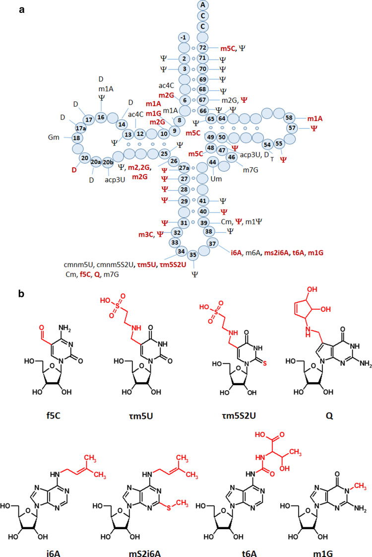 Fig. 4