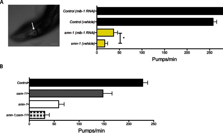 FIGURE 6: