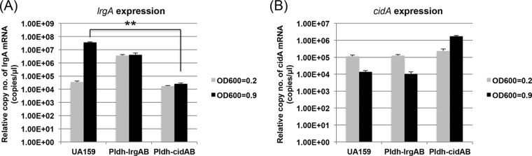 FIG 2