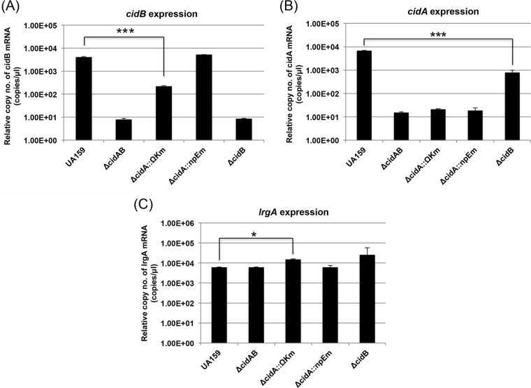 FIG 3