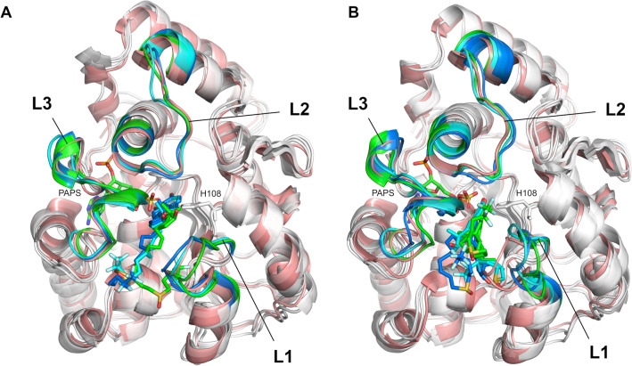 Figure 8