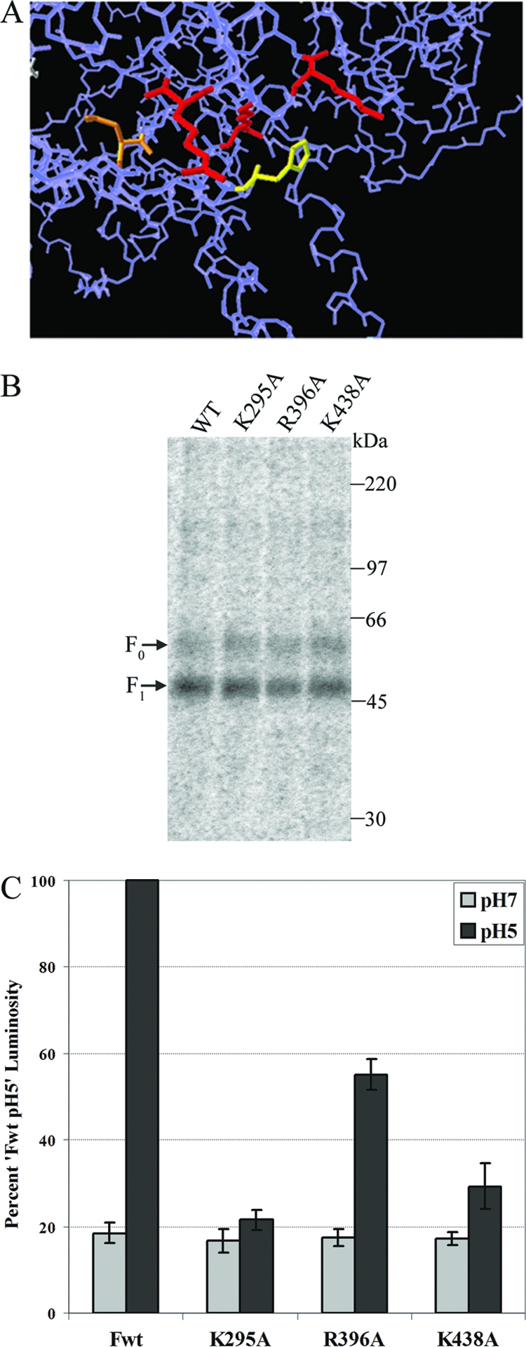 FIG. 4.