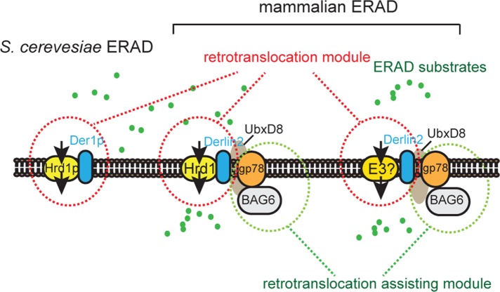 FIGURE 7: