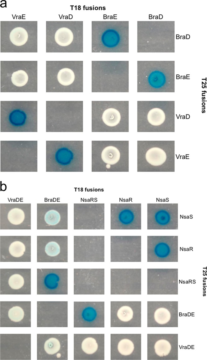 FIG 2