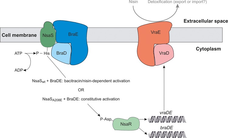 FIG 3