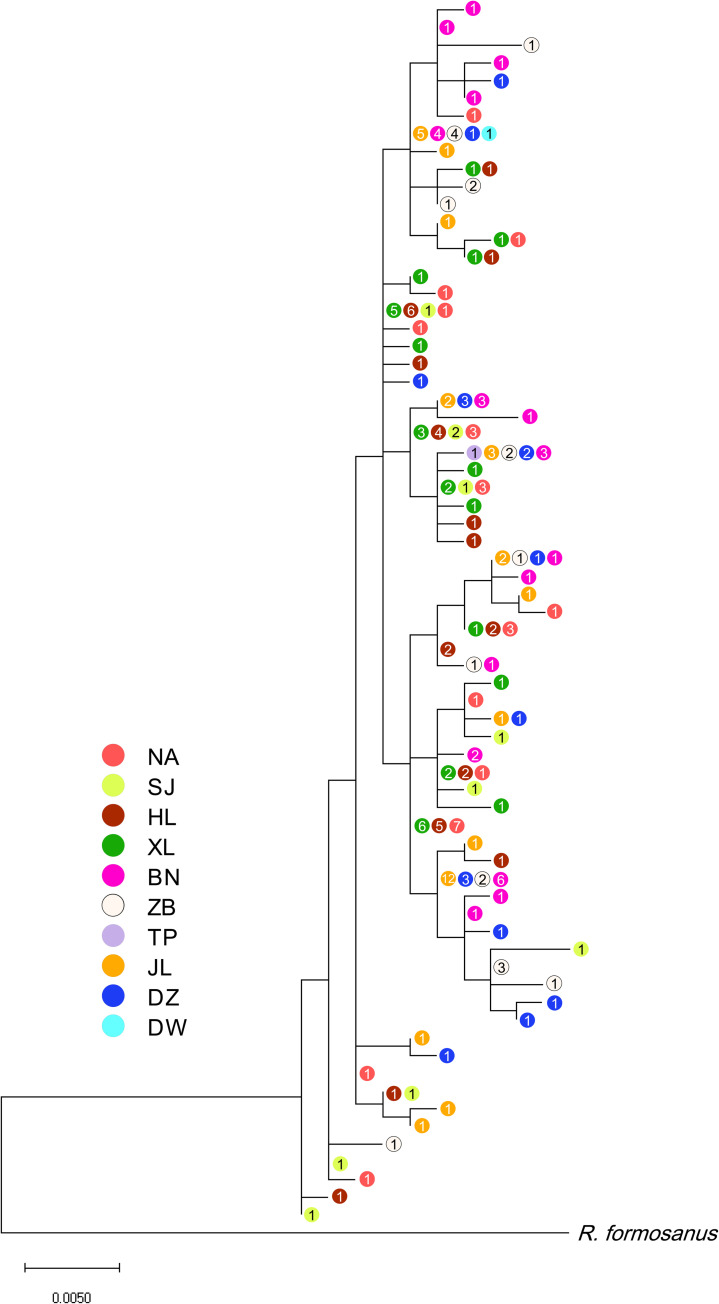 Fig 2