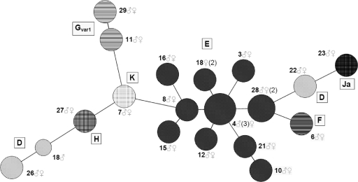 Fig. 4.