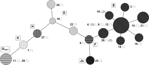 Fig. 3.