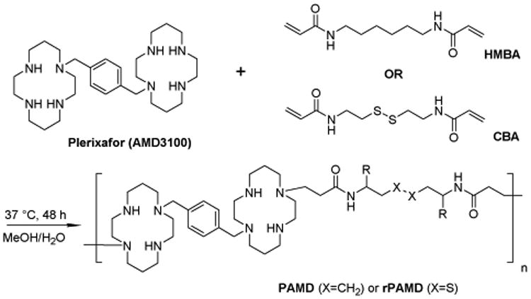 Scheme 1