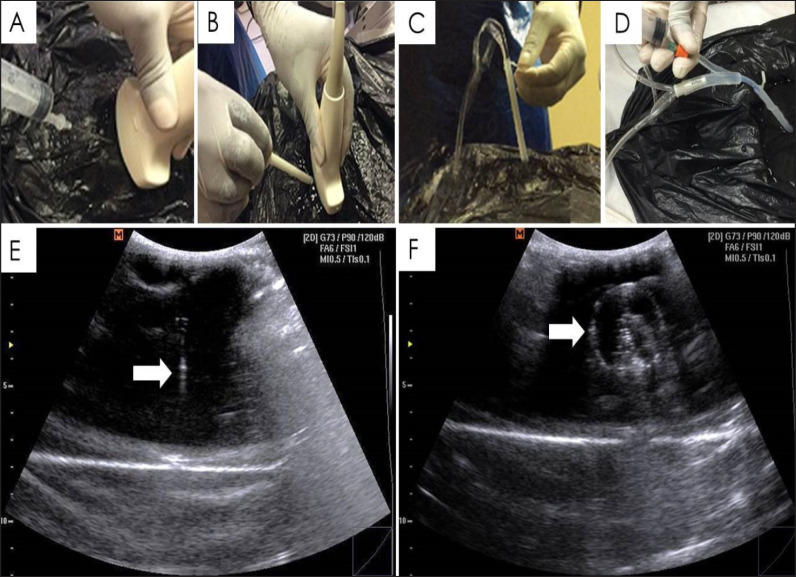 Fig. 7