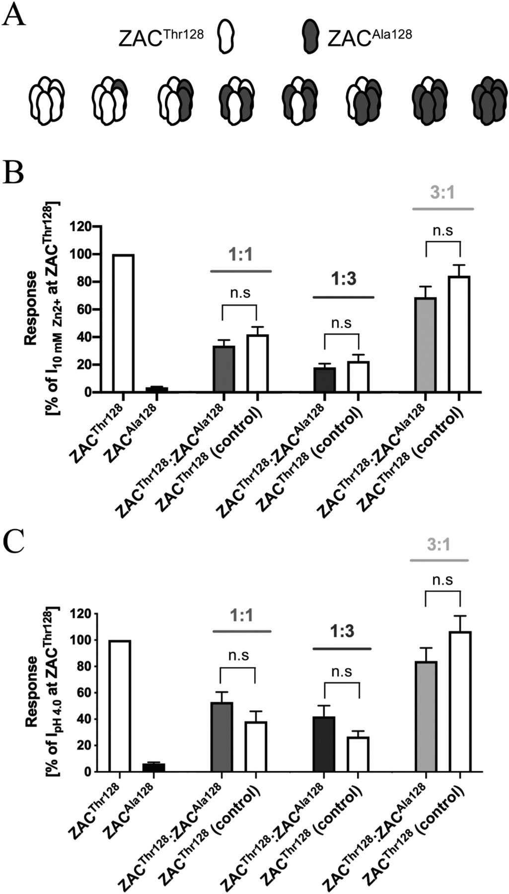 Fig. 7.