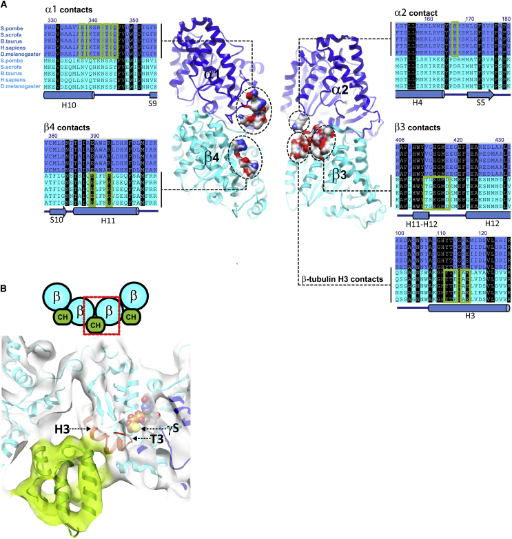 Figure 3