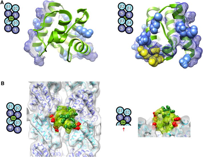 Figure 4