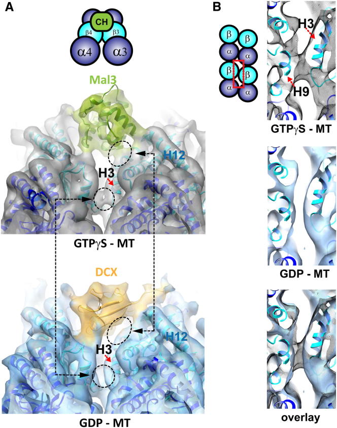 Figure 6