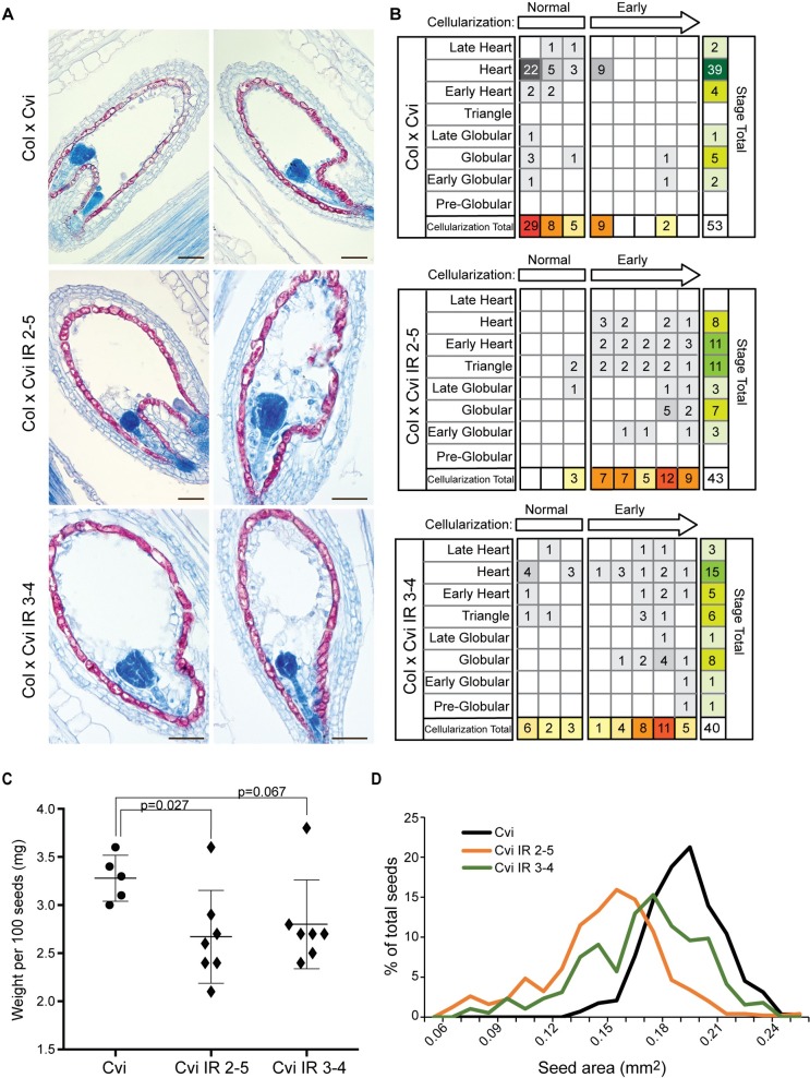 Fig 6