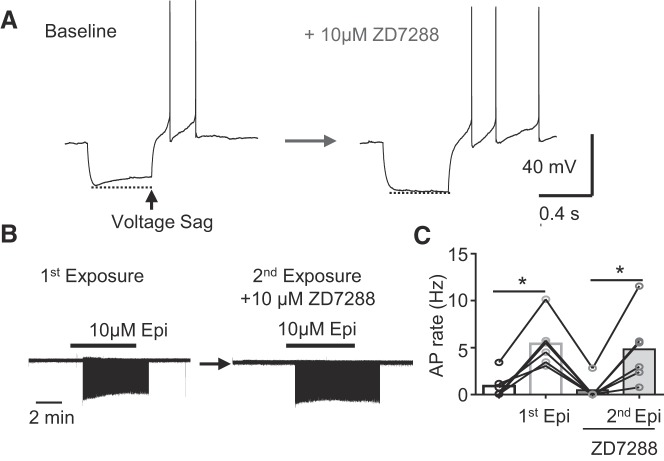 Fig. 7.