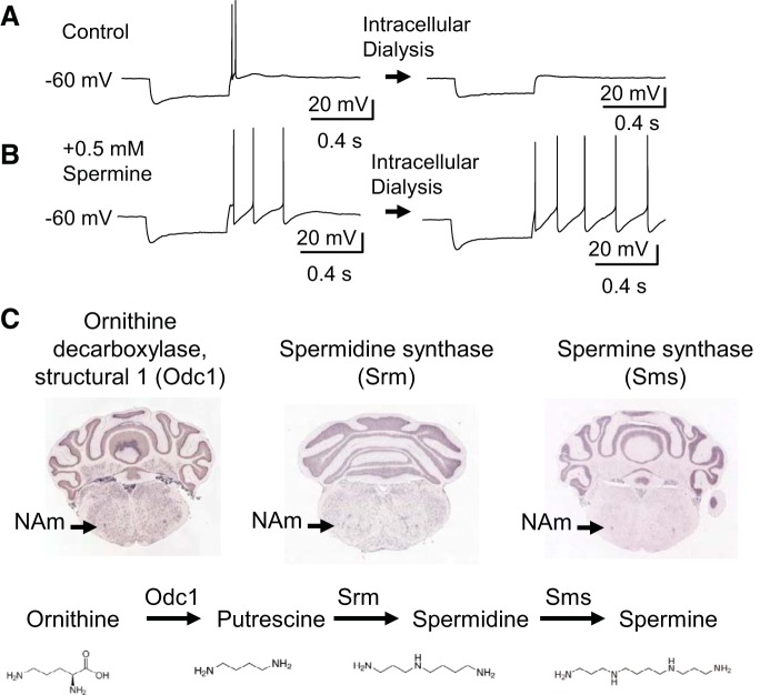 Fig. 5.