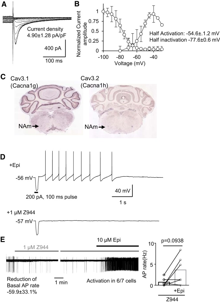 Fig. 8.