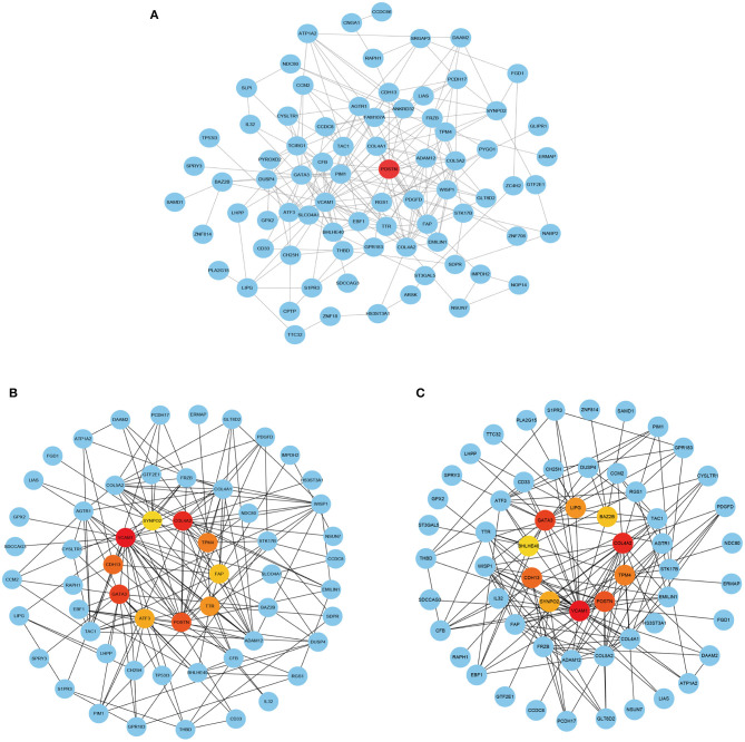 Figure 6