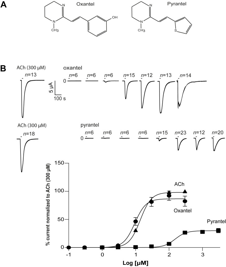 Fig 5