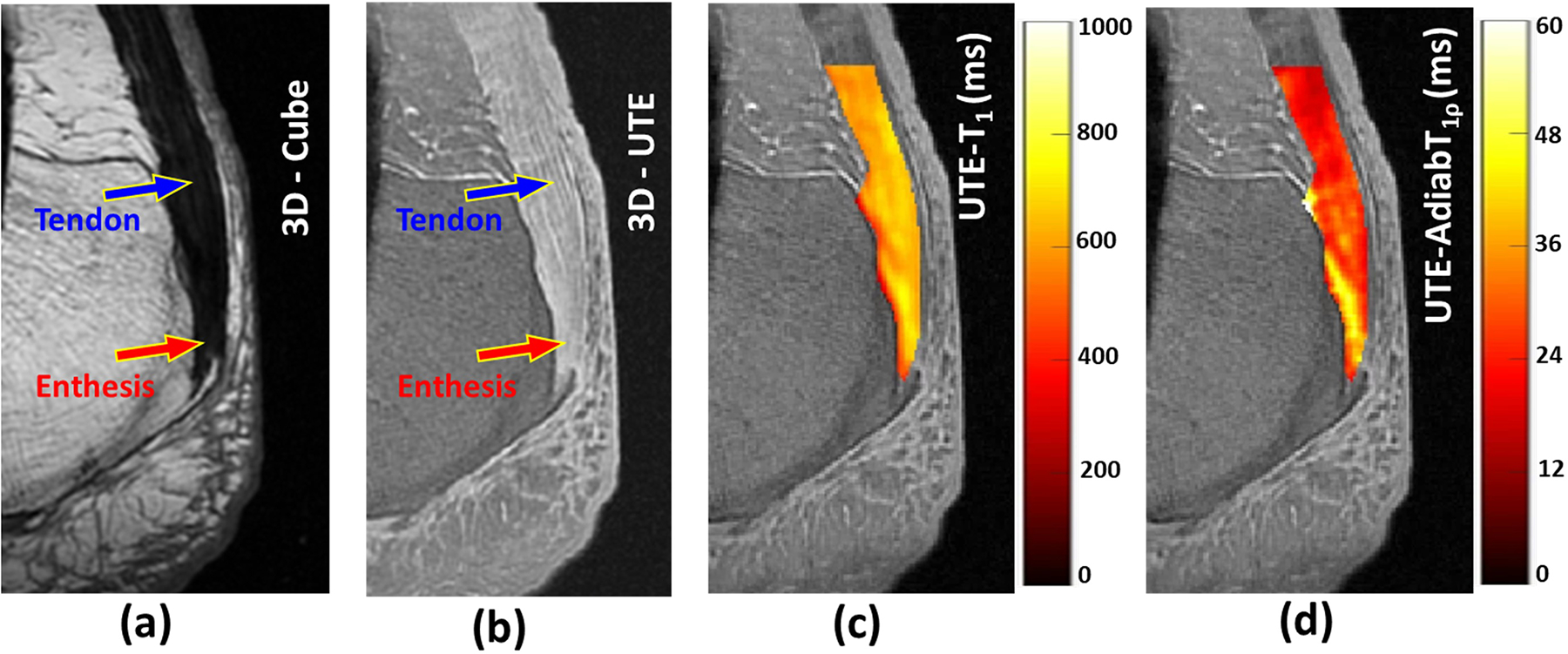 Figure 2: