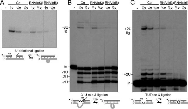 FIG. 7.