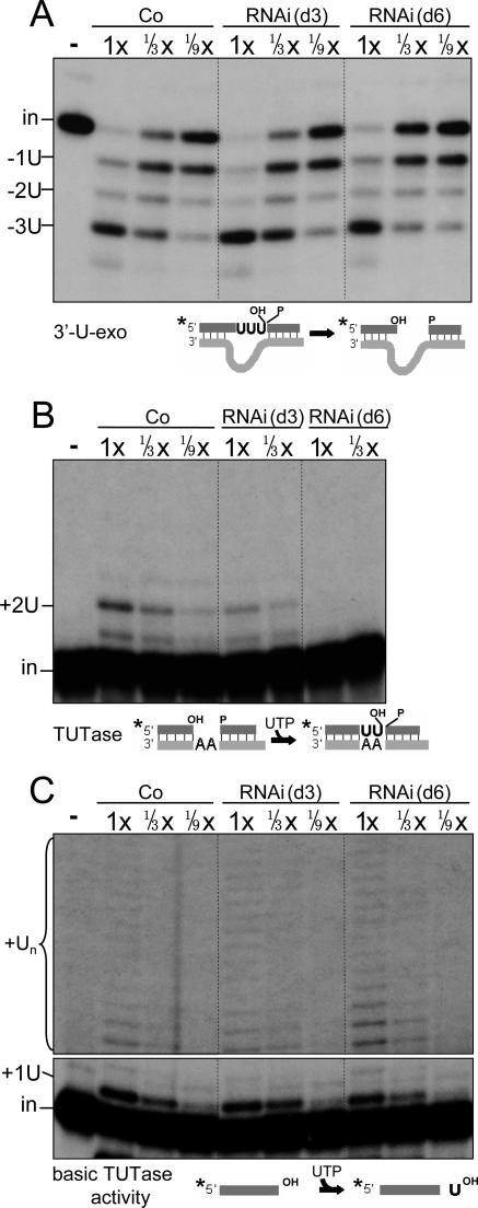 FIG. 6.