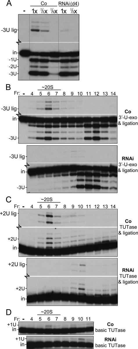 FIG. 8.